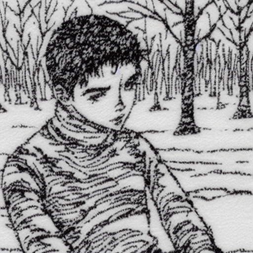 00159-3255709159-gvgtgm lineart drawing, jojo anime 1boy, sweater and jeans, snow, park, trees, upper-body portrait.png