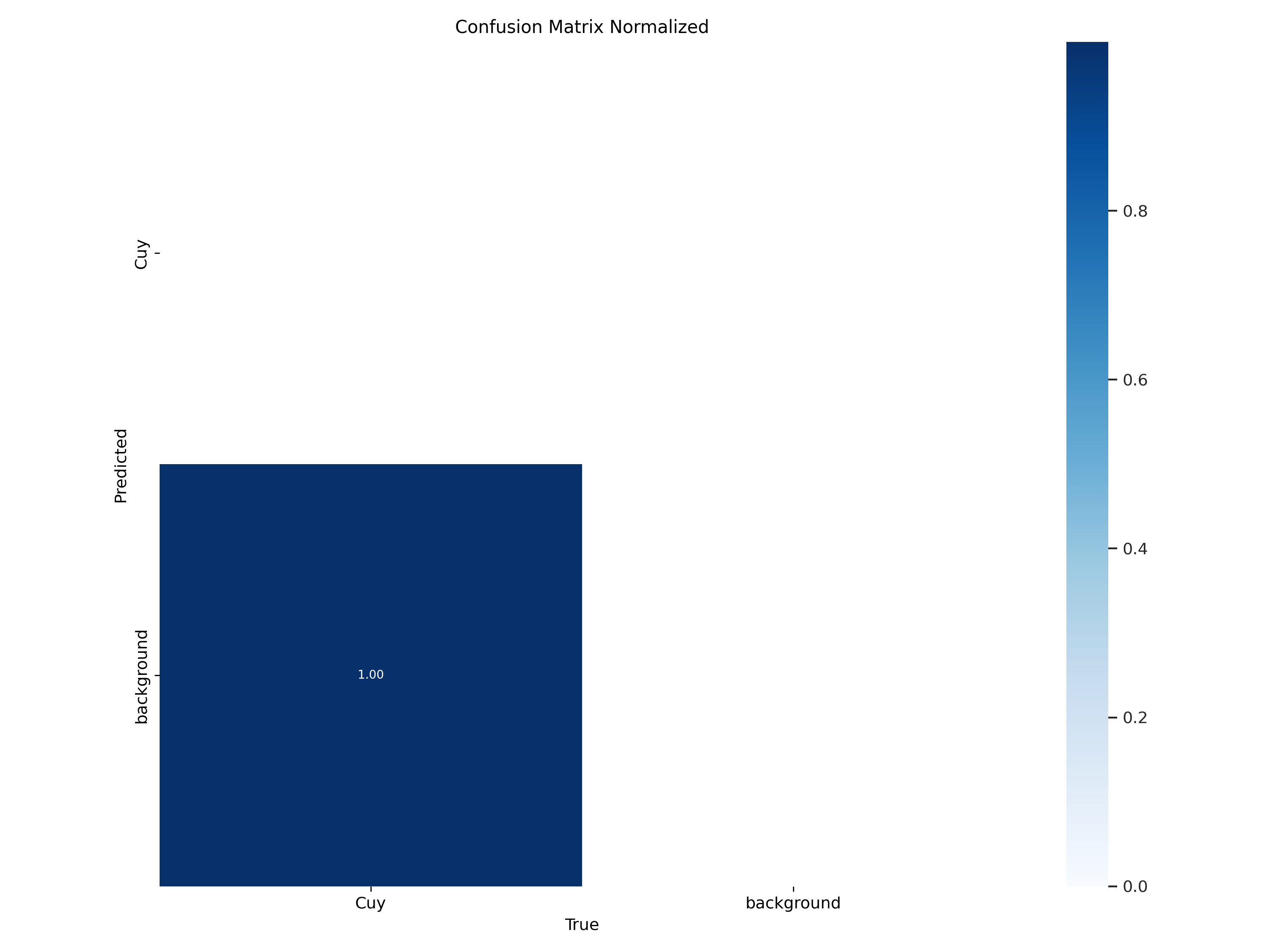 confusion_matrix_normalized.png