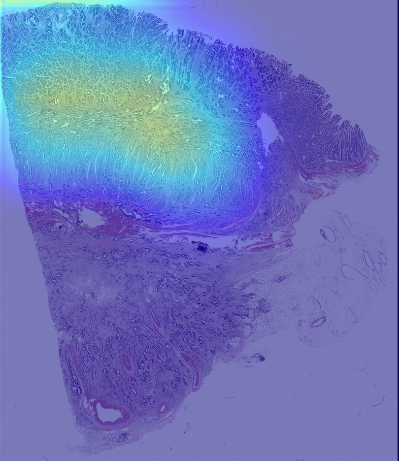 20225633812-heatmap.png