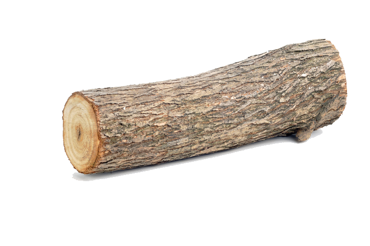 log.png