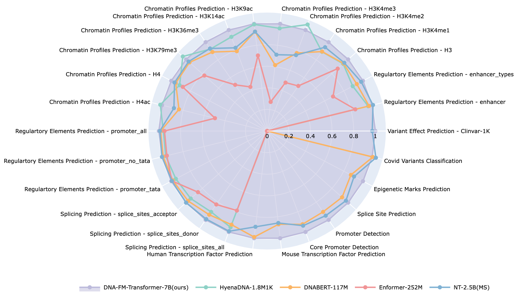 Downstream results of DNA FM 7B