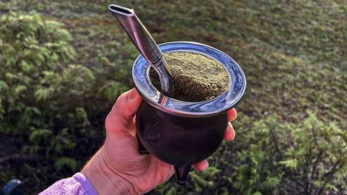 como-preparar-el-mejor-mate-jpg..jpg