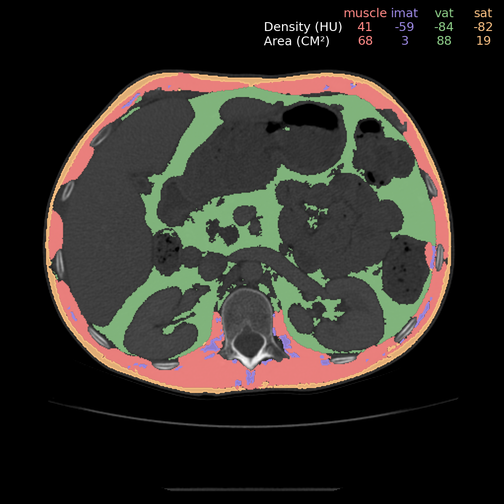 muscle_adipose_tissue_example.png