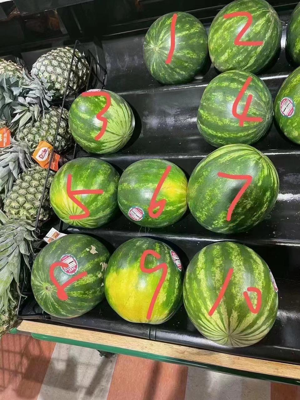 watermelon.jpeg