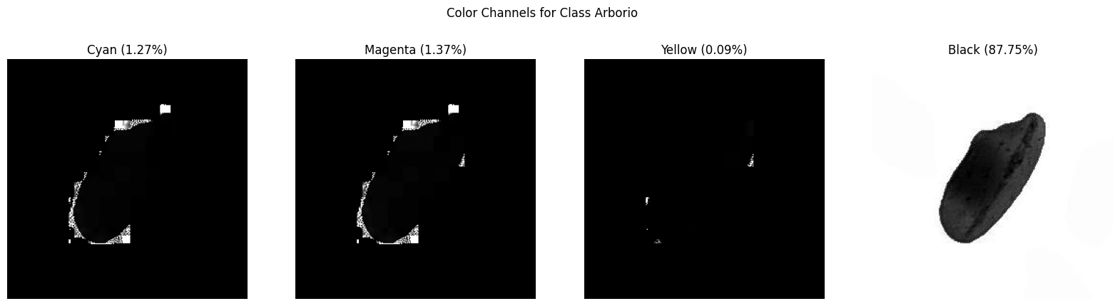 CYMK Color Channels Arborio.png