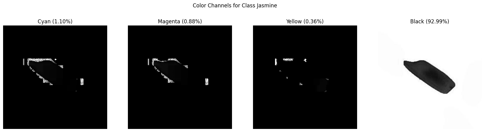 CYMK Color Channels Jasmine.png