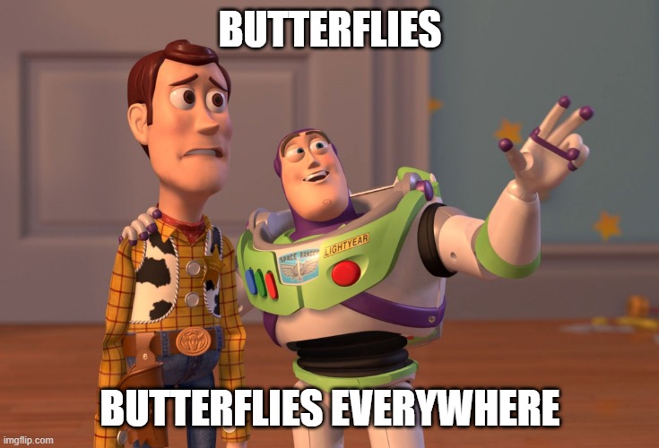 butterflies_everywhere.jpg