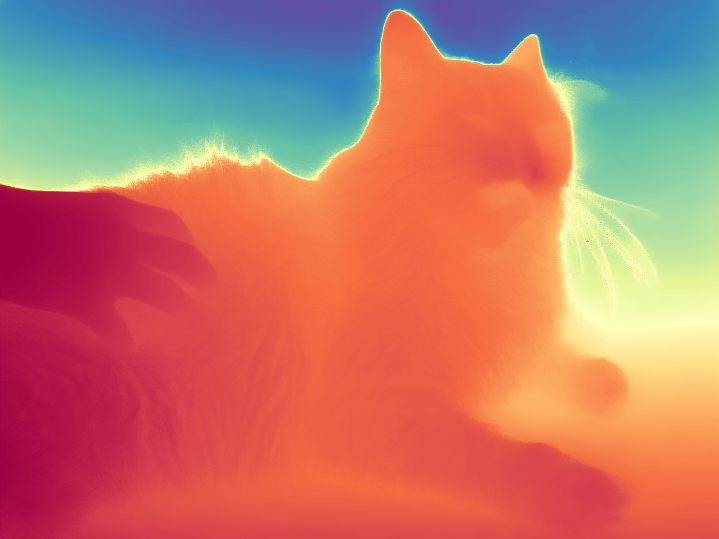 cat_vis.png