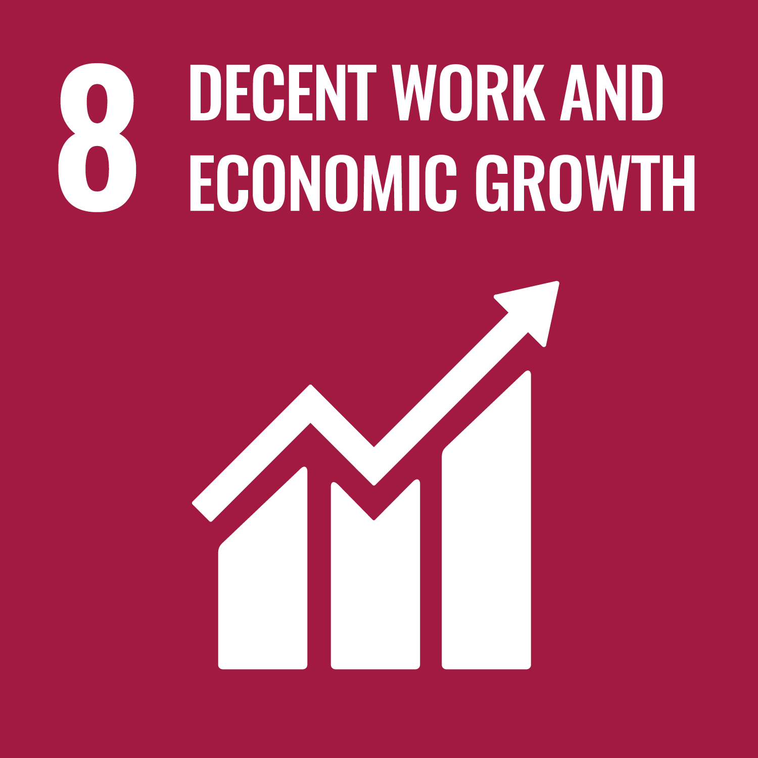 SDG8.png