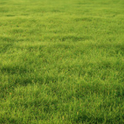 grass.png