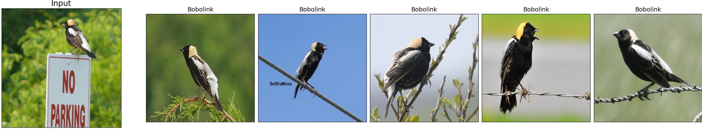 013.Bobolink_23_3.jpeg