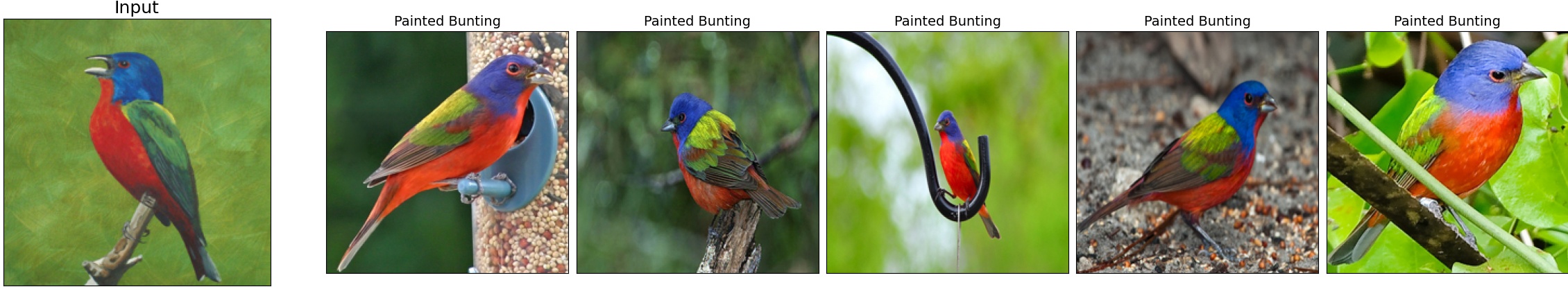 016.Painted_Bunting_115_4.jpeg