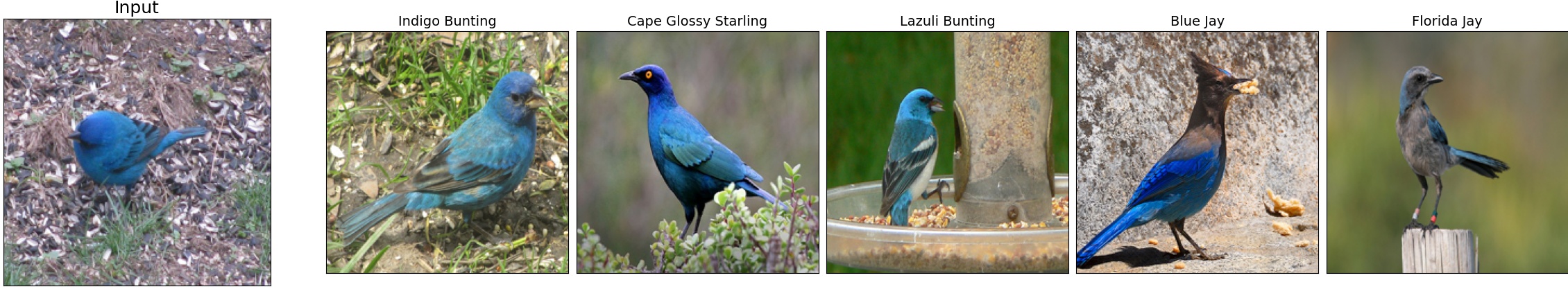 014.Indigo_Bunting_32_2.jpeg