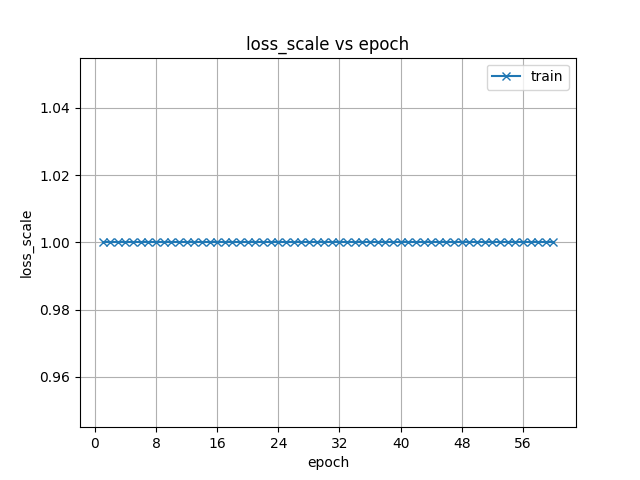 loss_scale.png